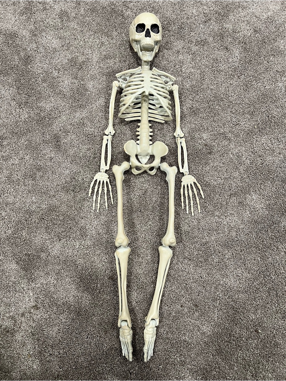 Halloween Decorative Bone Skeleton Movable Parts Figure - Cream ~34in